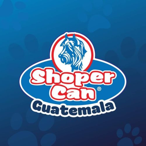 FB IMG 1723052277933