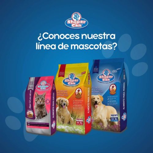 FB IMG 1723052308104