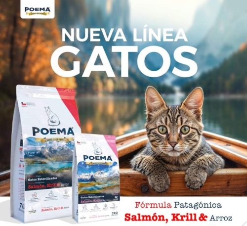 FB IMG 1723052331197